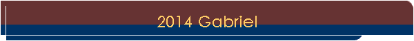 2014 Gabriel