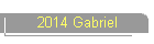 2014 Gabriel