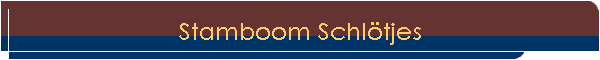 Stamboom Schltjes